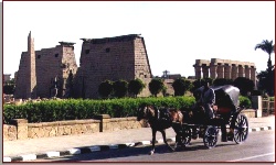 Luxor Han Tour